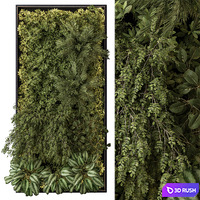 Vertical Garden - Wall Decor 59