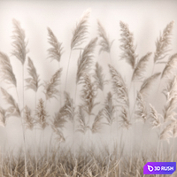 Phytomodule, phytobox and a vertical garden of dried flowers in a niche behind translucent glass cortaderium. Bouquet 281 3D Model Vray