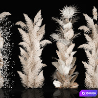 Wedding decorations from columns of dried flowers and pampas grass, Cortaderia, moonflower, dry, palm branch. Bouquet 289. 3D Model Vray