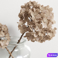 Tableware with Hydrangea 3D Model Corona
