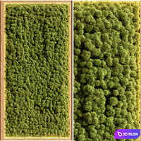 Wooden planks and vertical garden 08 3D Model Vray, Corona