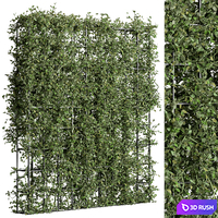 Vertical Garden Partiton - Set 81 3D Model Vray, Corona