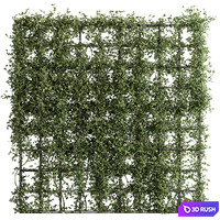 Vertical Garden Partiton - Set 81 3D Model Vray, Corona