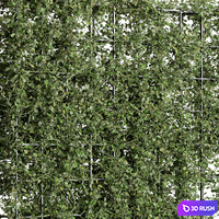Vertical Garden Partiton - Set 81 3D Model Vray, Corona