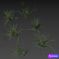 Field grass 02 3D Model Corona