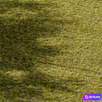 Short Grass Set 29 3D Model Vray, Corona