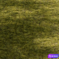 Short Grass Set 29 3D Model Vray, Corona