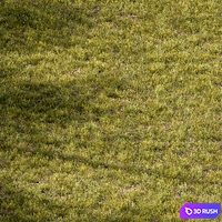 Short Grass Set 29 3D Model Vray, Corona