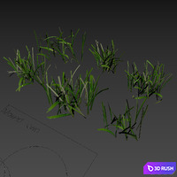 Lawn, cut grass 3D Model Corona