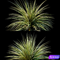 Plants for Exterior v2 3D Model Vray, Corona