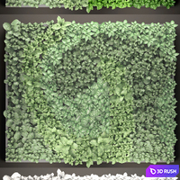 Vertical garden 14. vertical garden, green wall, phytomodule, eco design, picture of flowers, plants on the wall 3D Model Vray