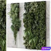 Indoor Wall Vertical Garden in Concrete Base - Set 1934 3D Model Vray, Corona
