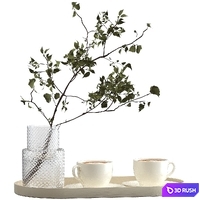 Two cups of cappuccino on a tray 3D Model Vray, Corona