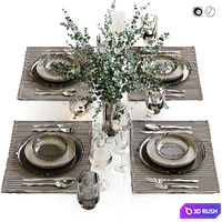 Table setting / Table setting 43 3D Model Vray, Corona