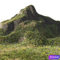 Grass for mountainous terrain 3D Model Corona