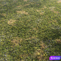 Grass for mountainous terrain 3D Model Corona