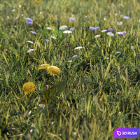 Grass for mountainous terrain 3D Model Corona