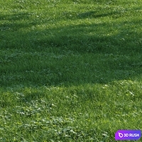 Grass018 3D Model Vray, Corona