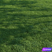Grass018 3D Model Vray, Corona