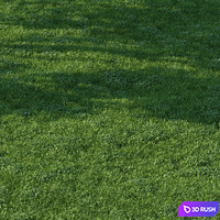 Grass018 3D Model Vray, Corona