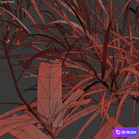 Natural lawn: capsella bursa-pastoris &amp; setaria viridis 3D Model Vray, Corona