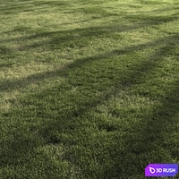 Forest Grass 4 3D Model Corona