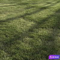 Forest Grass 4 3D Model Corona