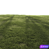 Forest Grass 4 3D Model Corona