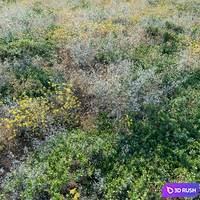 Meadow 19 3D Model Corona