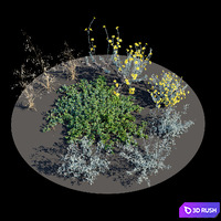 Meadow 19 3D Model Corona