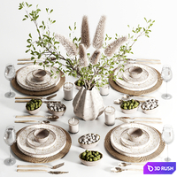 Tableware set 1 3D Model Vray, Corona