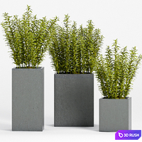 PLANT -15 3D Model Vray