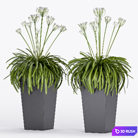 PLANT -16 3D Model Vray