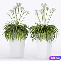 PLANT -16 3D Model Vray