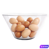 Egg 3D Model Corona