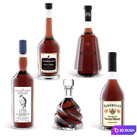 Whiskey 3D Model Vray