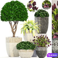 Collection of plants 193. Landscape design, outdoor pots, garden, flowers, topiary, boxwood, bushes, classic, tulips 3D Model Vray