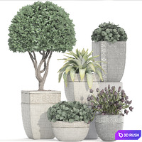 Collection of plants 193. Landscape design, outdoor pots, garden, flowers, topiary, boxwood, bushes, classic, tulips 3D Model Vray