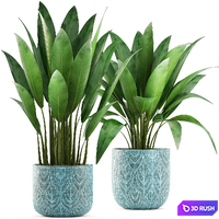 Strelitzia in a pot. Bush, flowerpot, pot, Scandinavian, banana, indoor, interior plants 3D Model Vray