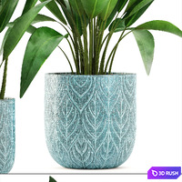 Strelitzia in a pot. Bush, flowerpot, pot, Scandinavian, banana, indoor, interior plants 3D Model Vray