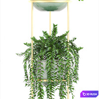Collection of plants. Shelf with flowers, stand, Caladium, Zamioculcas, Schefflera, pot, interior plants 3D Model Vray
