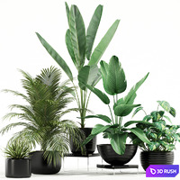 Plants collection 119 3D Model Vray