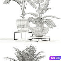 Plants collection 119 3D Model Vray