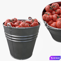 Bucket with tomatoes