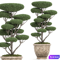 A collection of trees for the garden in classic outdoor pots with Topiary, bonsai, Nivaki. Set of 500. 3D Model Vray