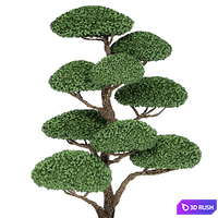 A collection of trees for the garden in classic outdoor pots with Topiary, bonsai, Nivaki. Set of 500. 3D Model Vray
