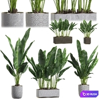 INTERIOR FLOWER PACK 1 3D Model Vray