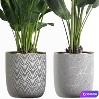 INTERIOR FLOWER PACK 1 3D Model Vray