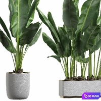 INTERIOR FLOWER PACK 1 3D Model Vray
