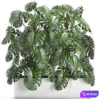 Beautiful lush exotic thickets of plants in a white potted flowerbed with a Monstera flower. Set 669. 3D Model Vray